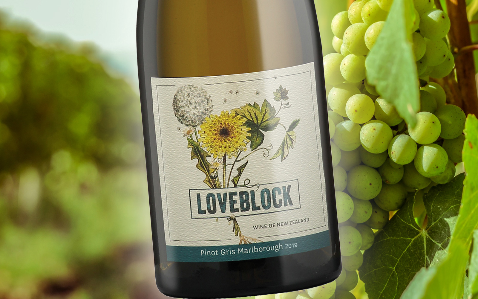 An ‘Organic’ Pinot Gris with a vibrant finish. – Grape to Glass