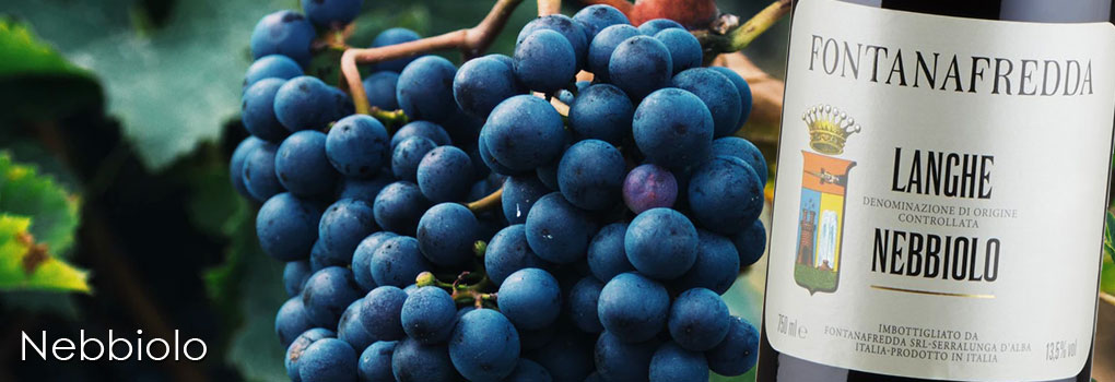 Nebbiolo-Image-01