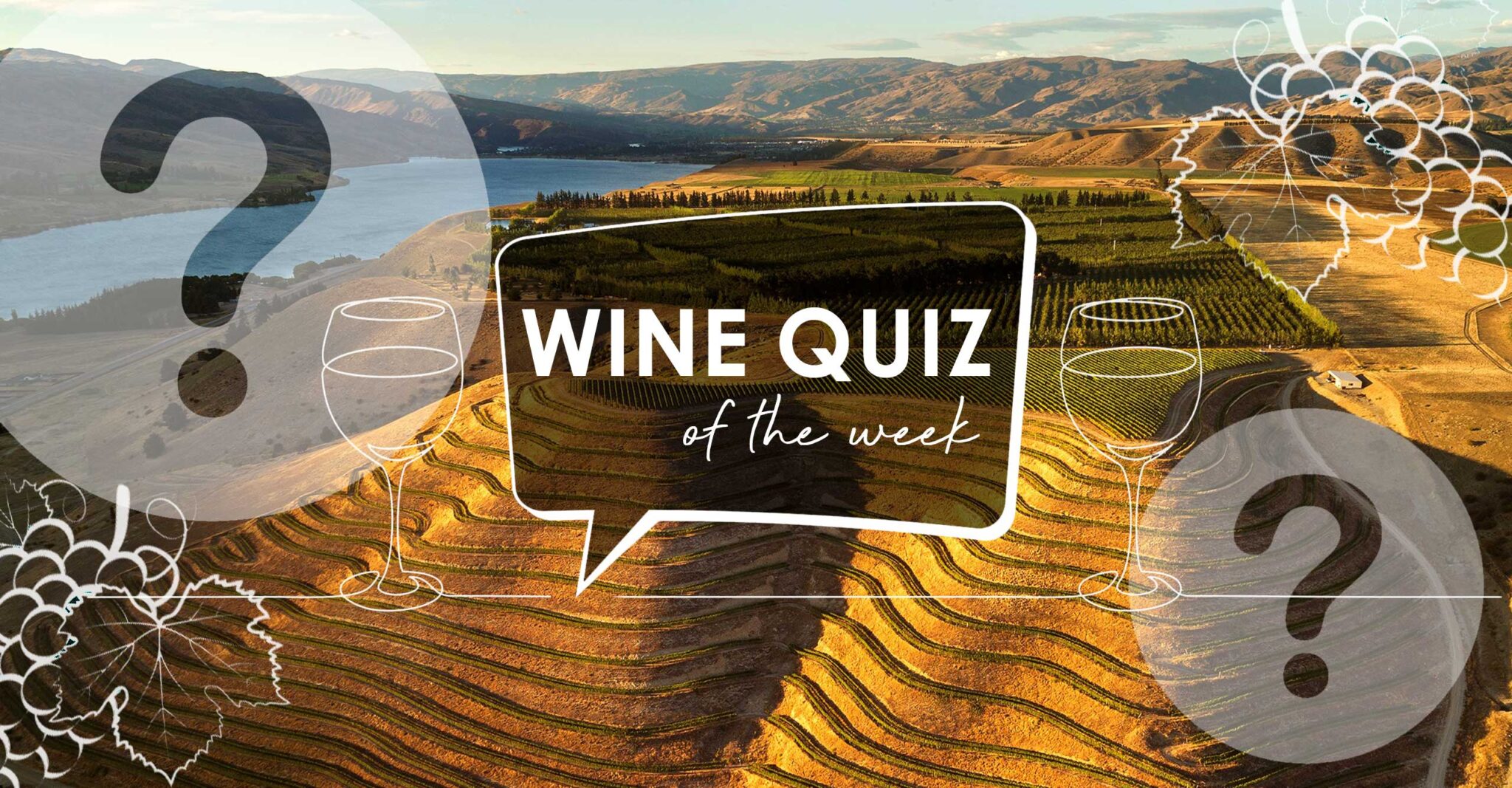 wine-quiz-akarua-wines-grape-to-glass