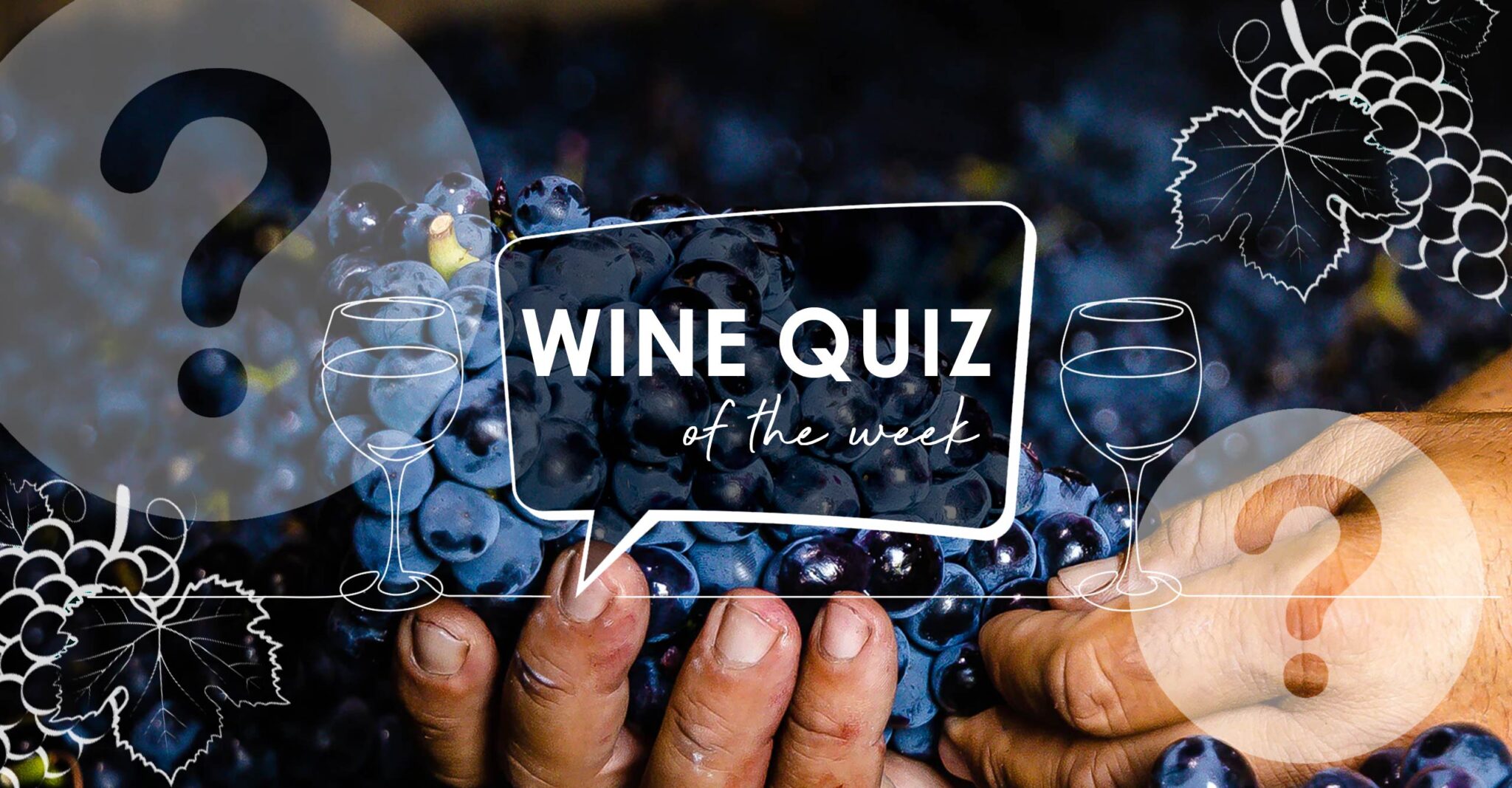 Wine Quiz Sangiovese Grape to Glass