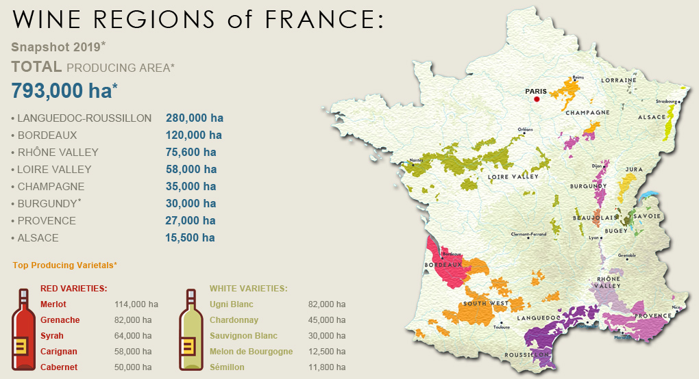 French wine shop regions