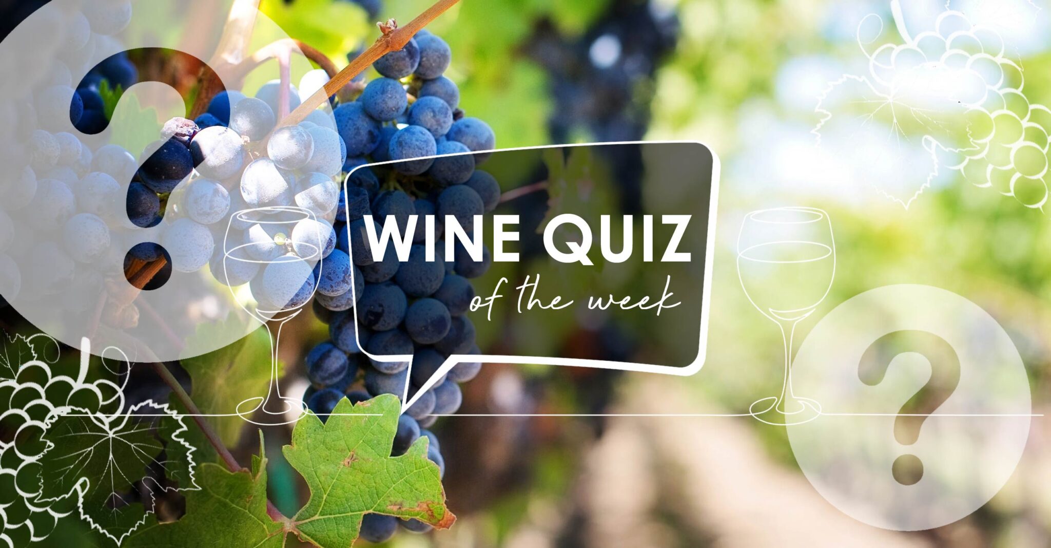Wine Quiz Malbec Grape to Glass