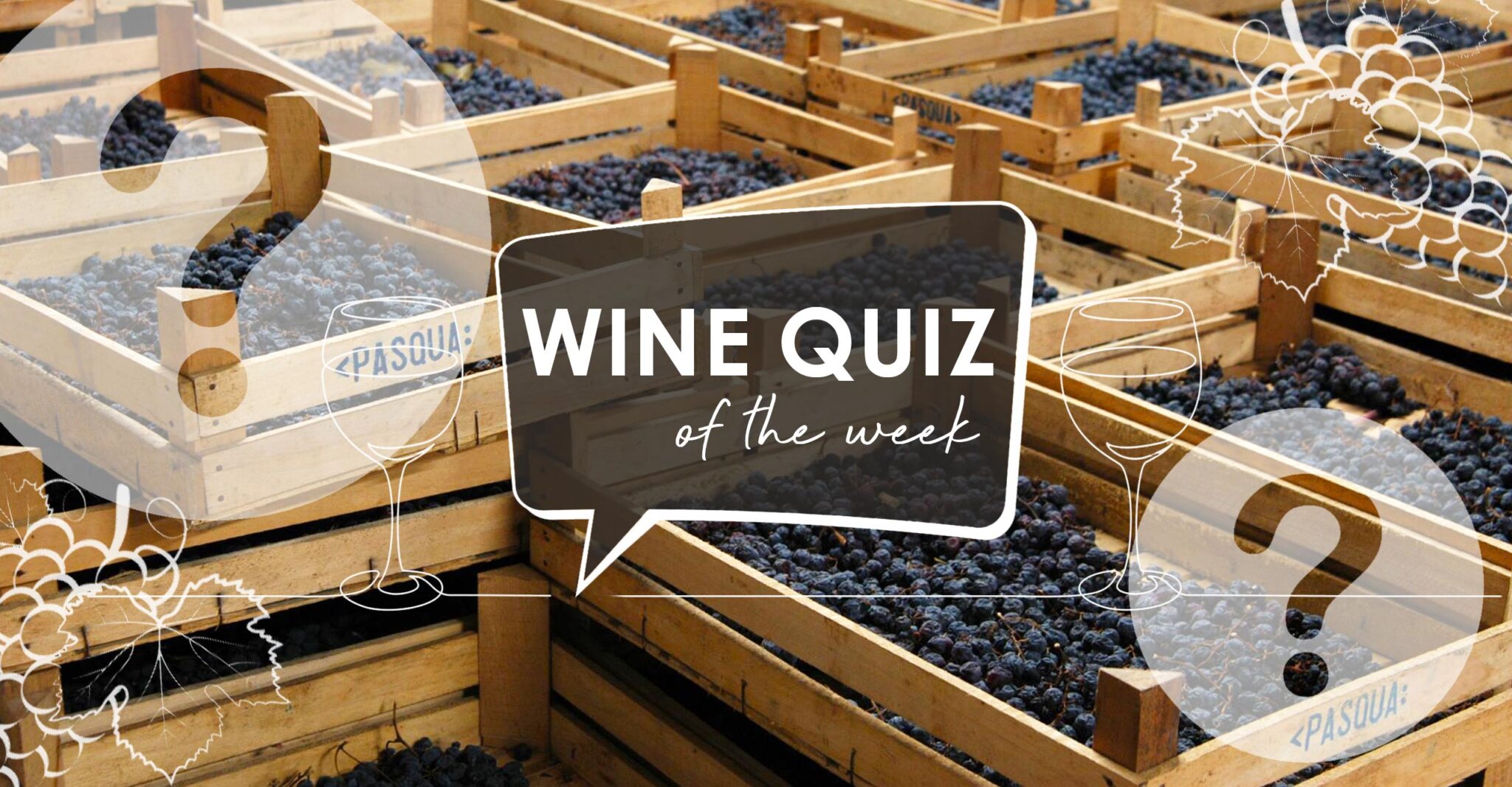 Wine Quiz Amarone Grape to Glass