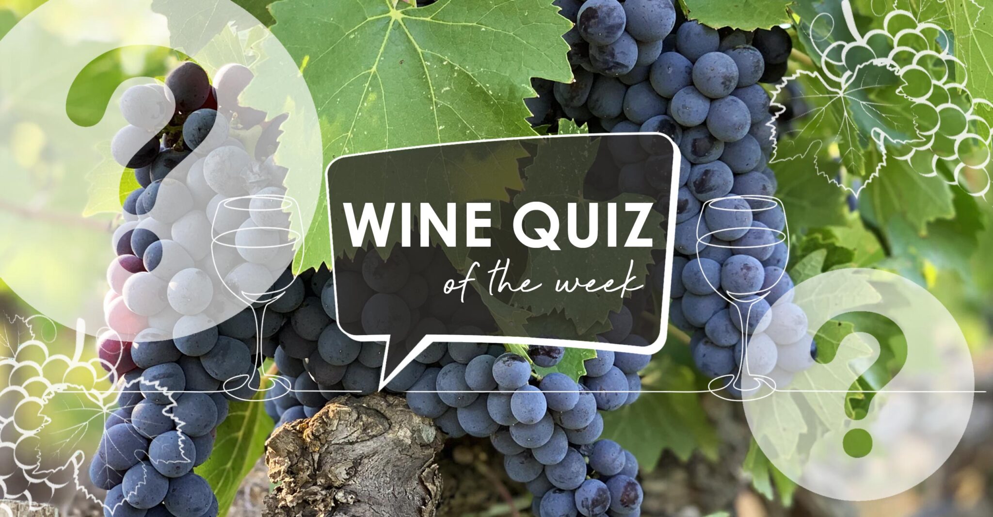 Wine Quiz Franc Grape to Glass