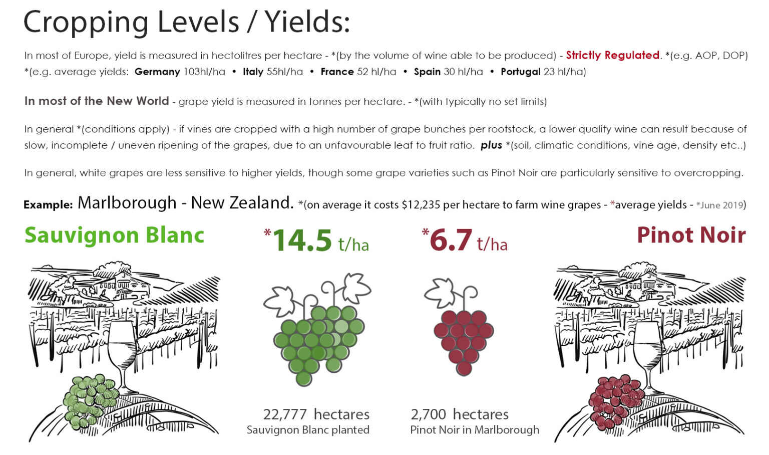 Cropping Levels / Yields Grape to Glass