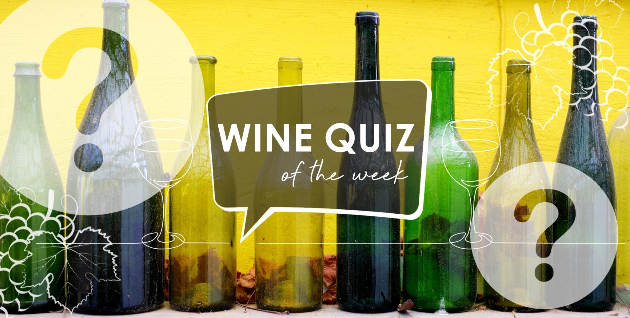 Wine Quiz Wine Bottles Grape to Glass