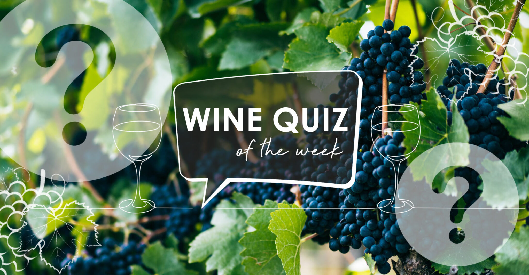 wine-quiz-nebbiolo-grape-to-glass