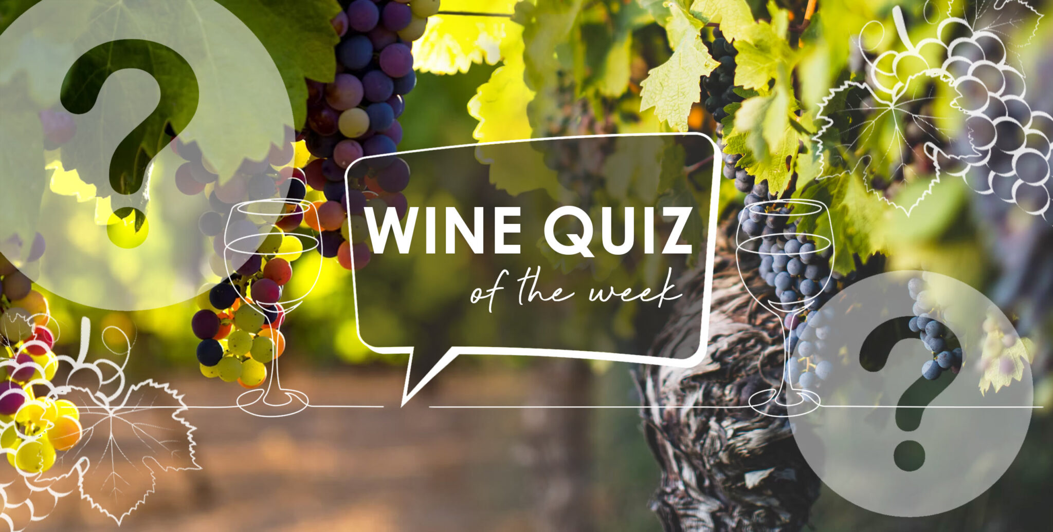 Wine Quiz Grape Growing Grape to Glass