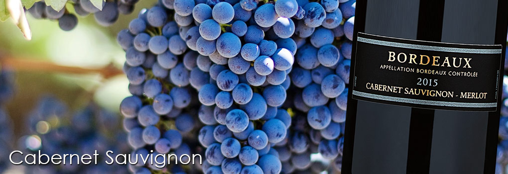 French Grapes – Grape to Glass