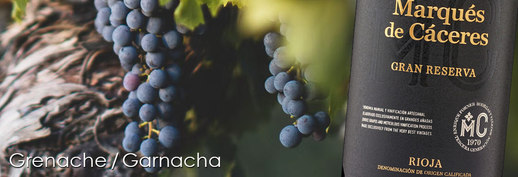 Grenache-Image-01