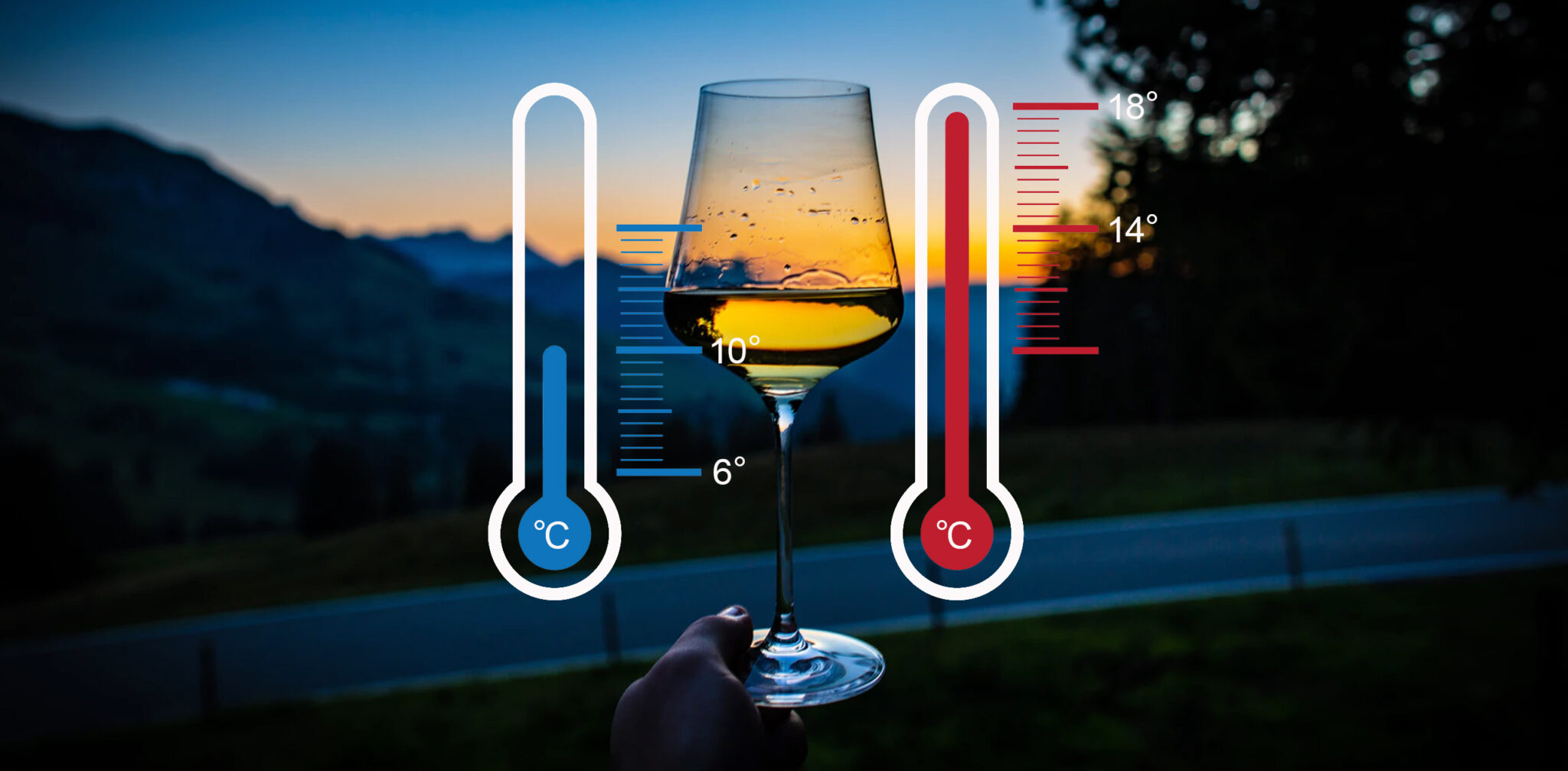 Serving Temperature for Wine Grape to Glass