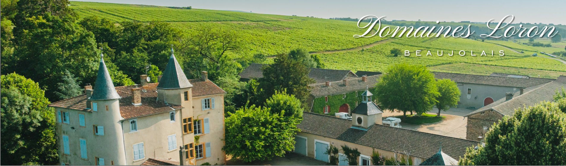 Domaines-Loron-Thin-Banner-01