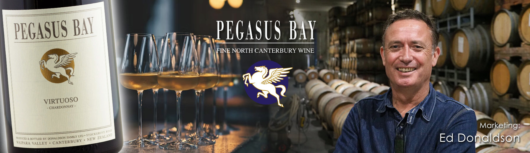 Pegasus-Bottom-Banner-25-02