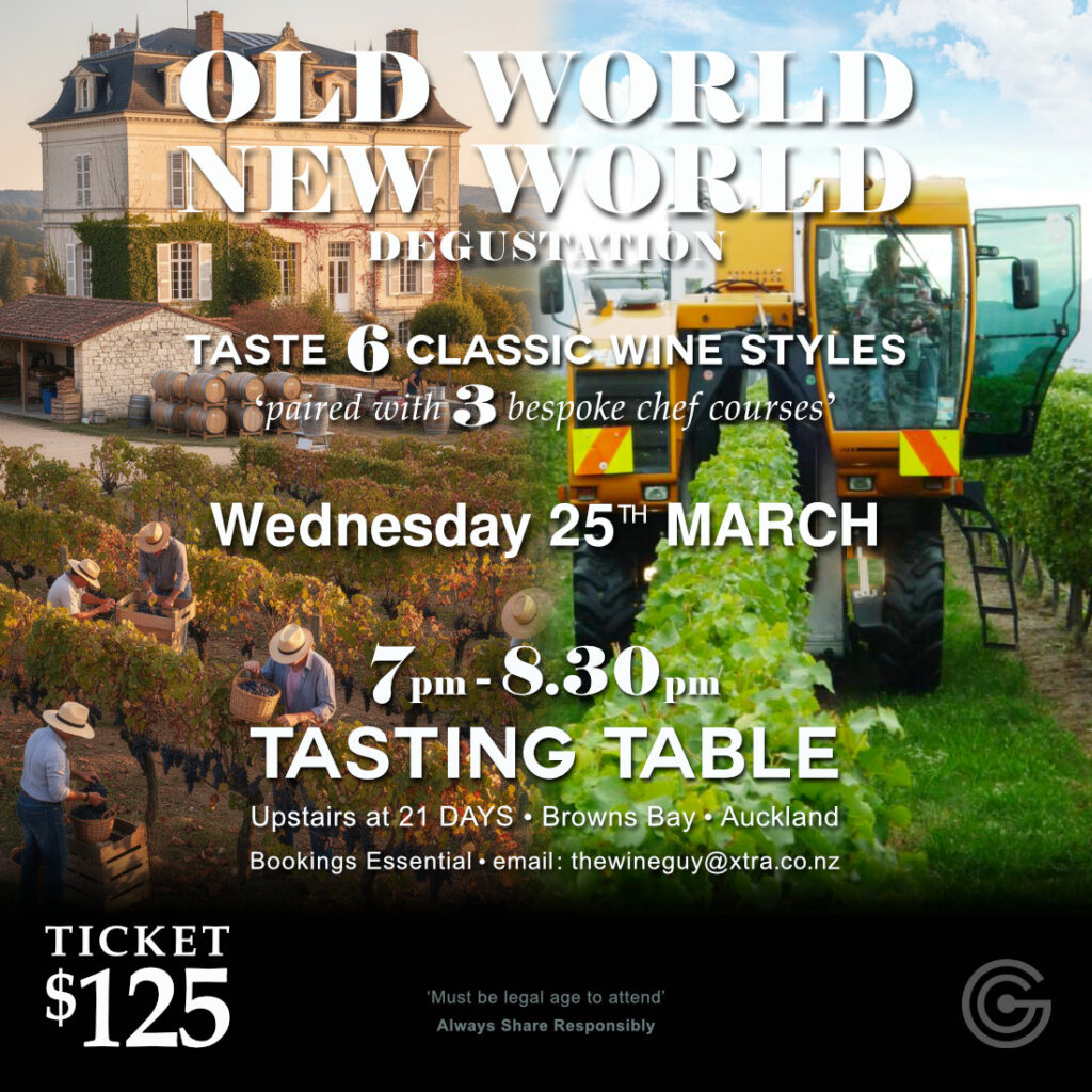 Wine-Insights-Template-2026-05